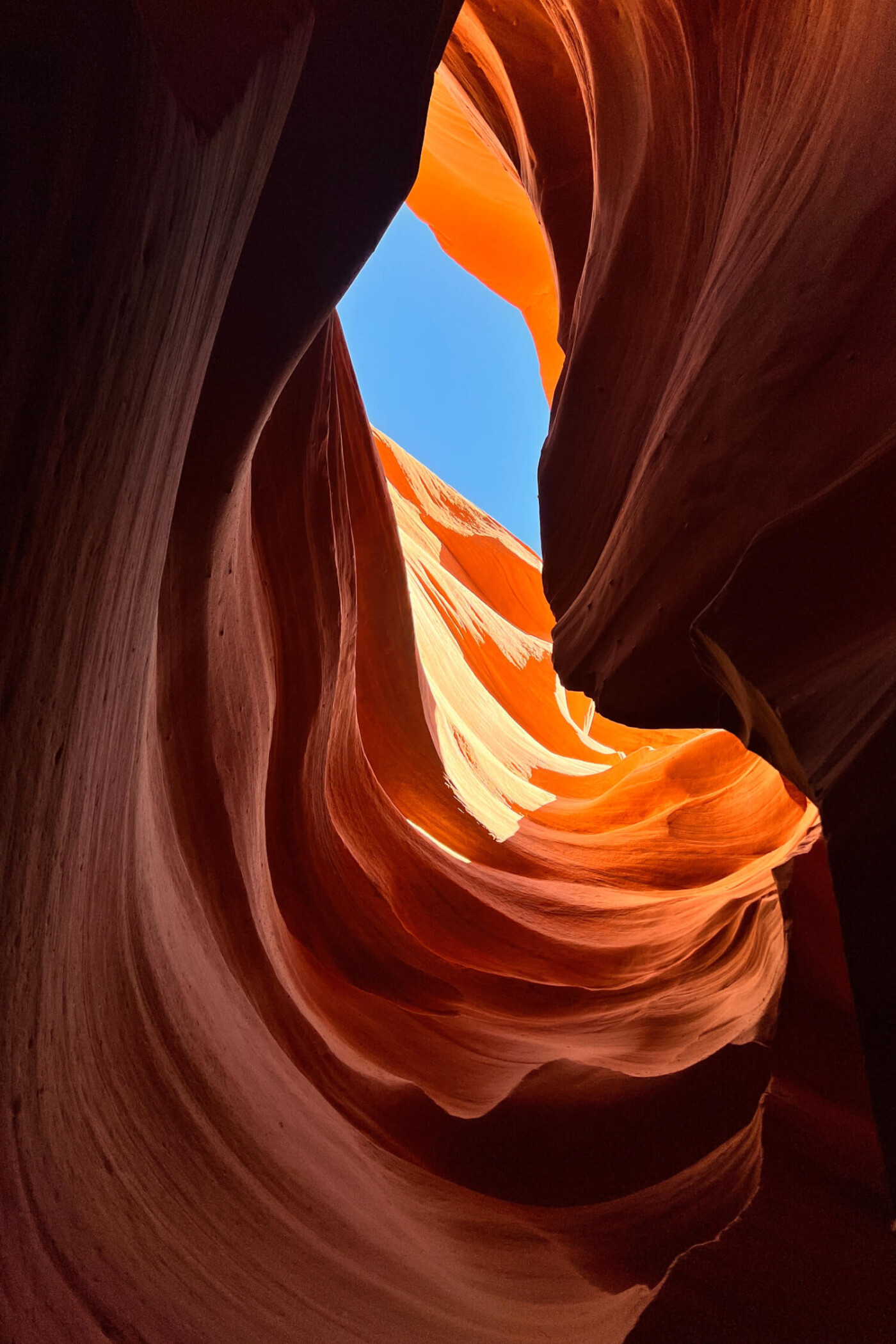 pexels-austin-sullivan-13594100