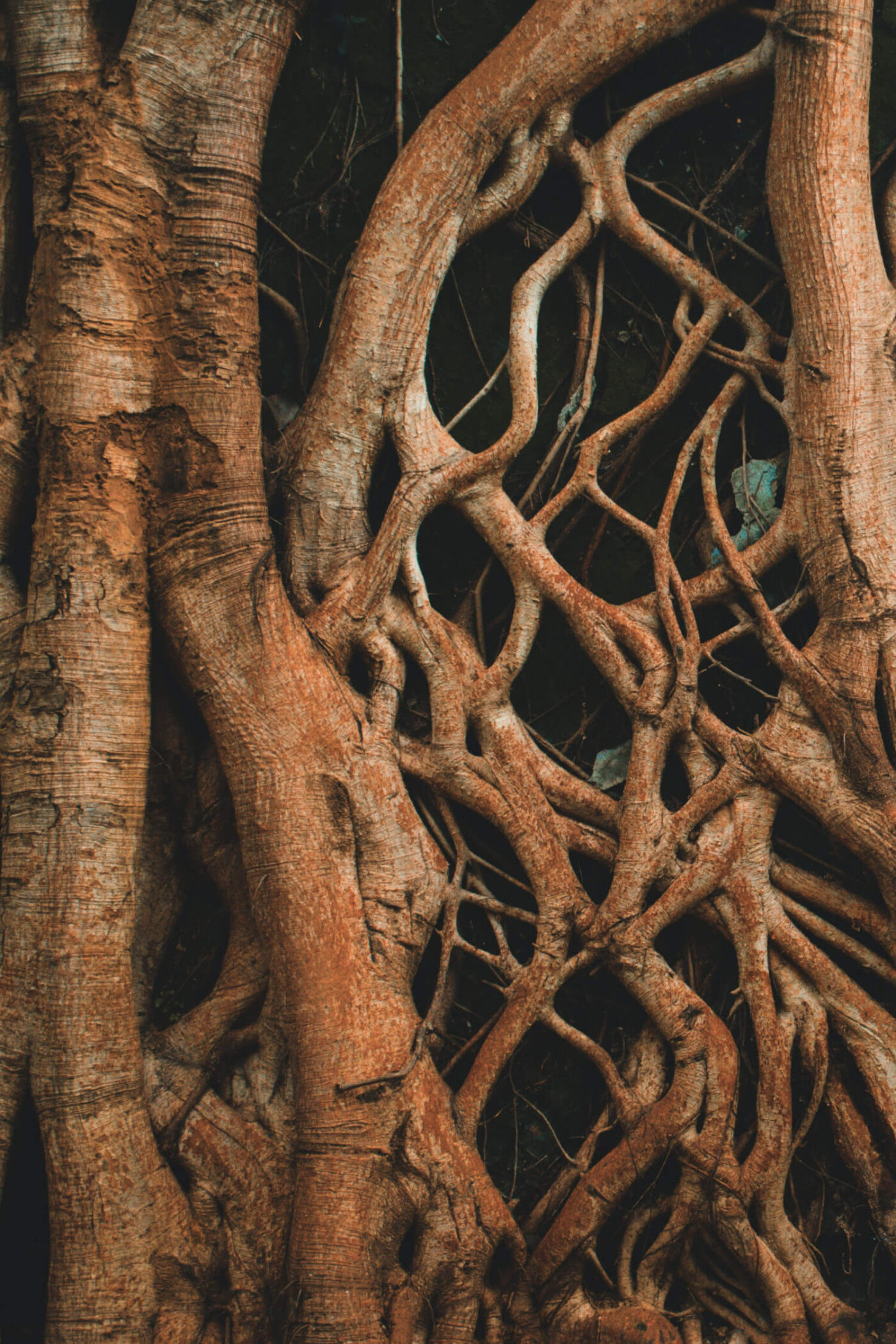 arun-geetha-viswanathan-9btCiUMQat4-unsplash