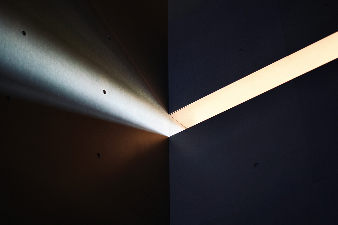 wellstudio-C5y5N7apuv8-unsplash