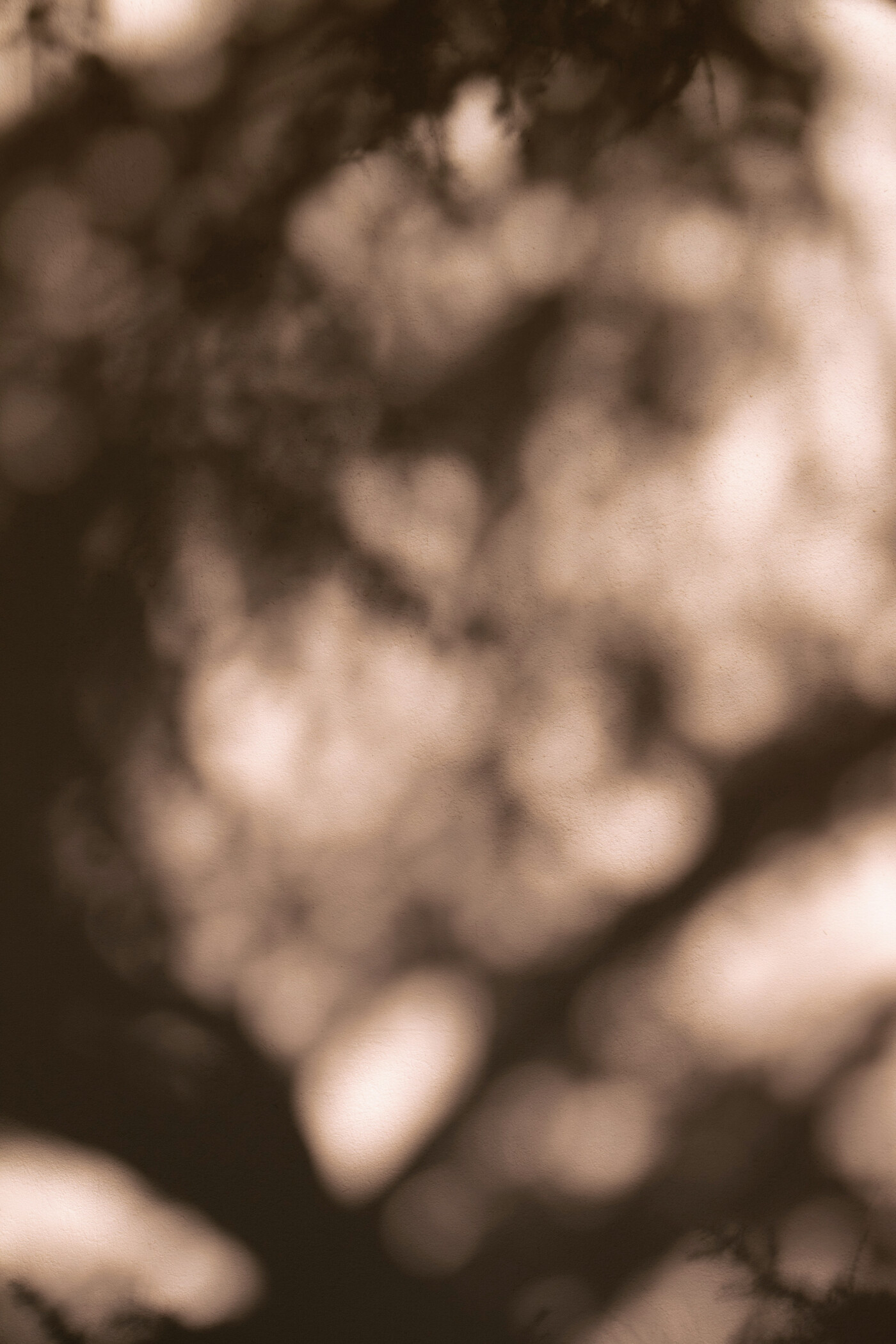 augustine-wong-njhPkg0Oe5M-unsplash