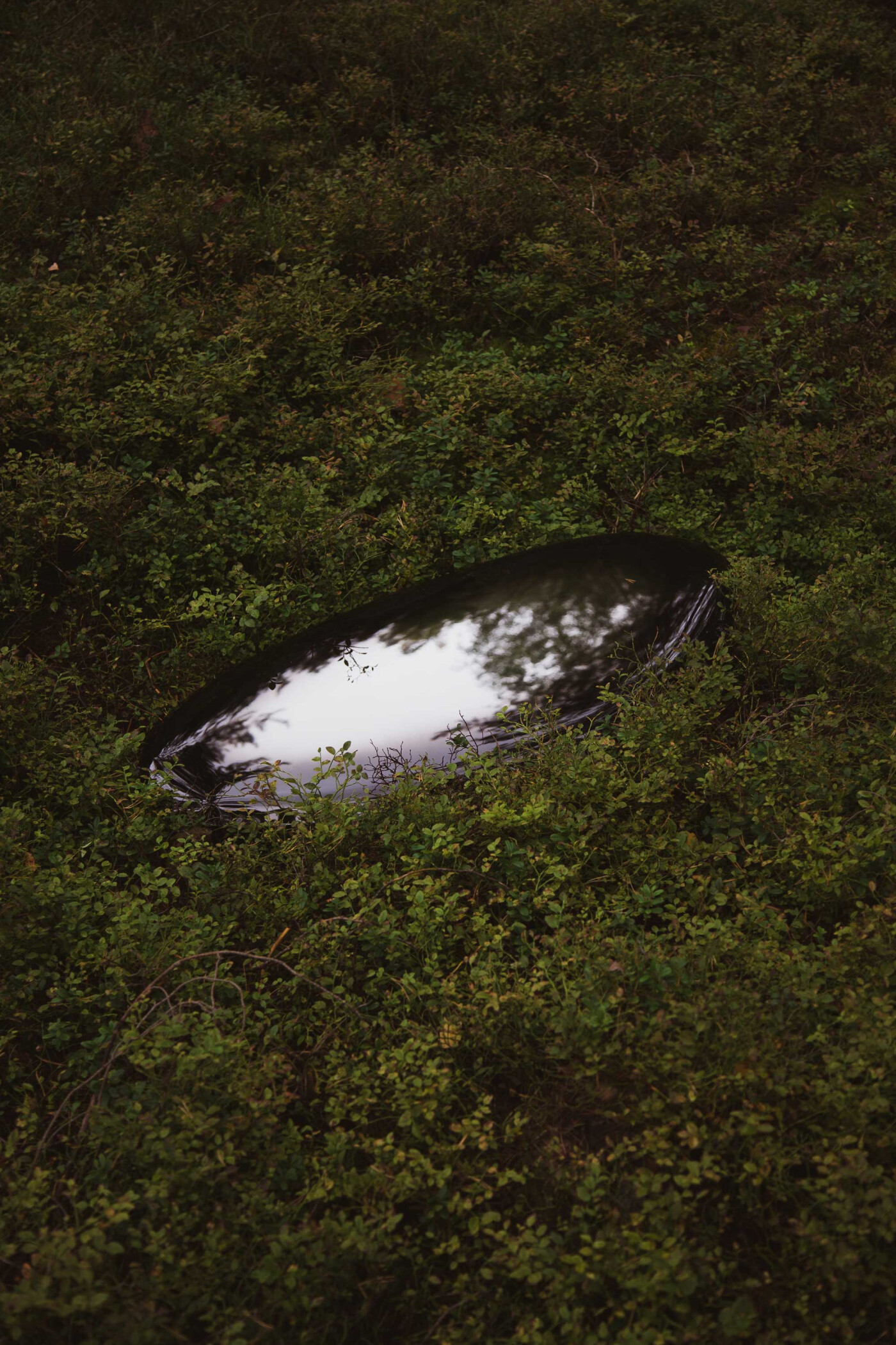 ZIETA_TAFLA_O_DARK_MATTER_fot