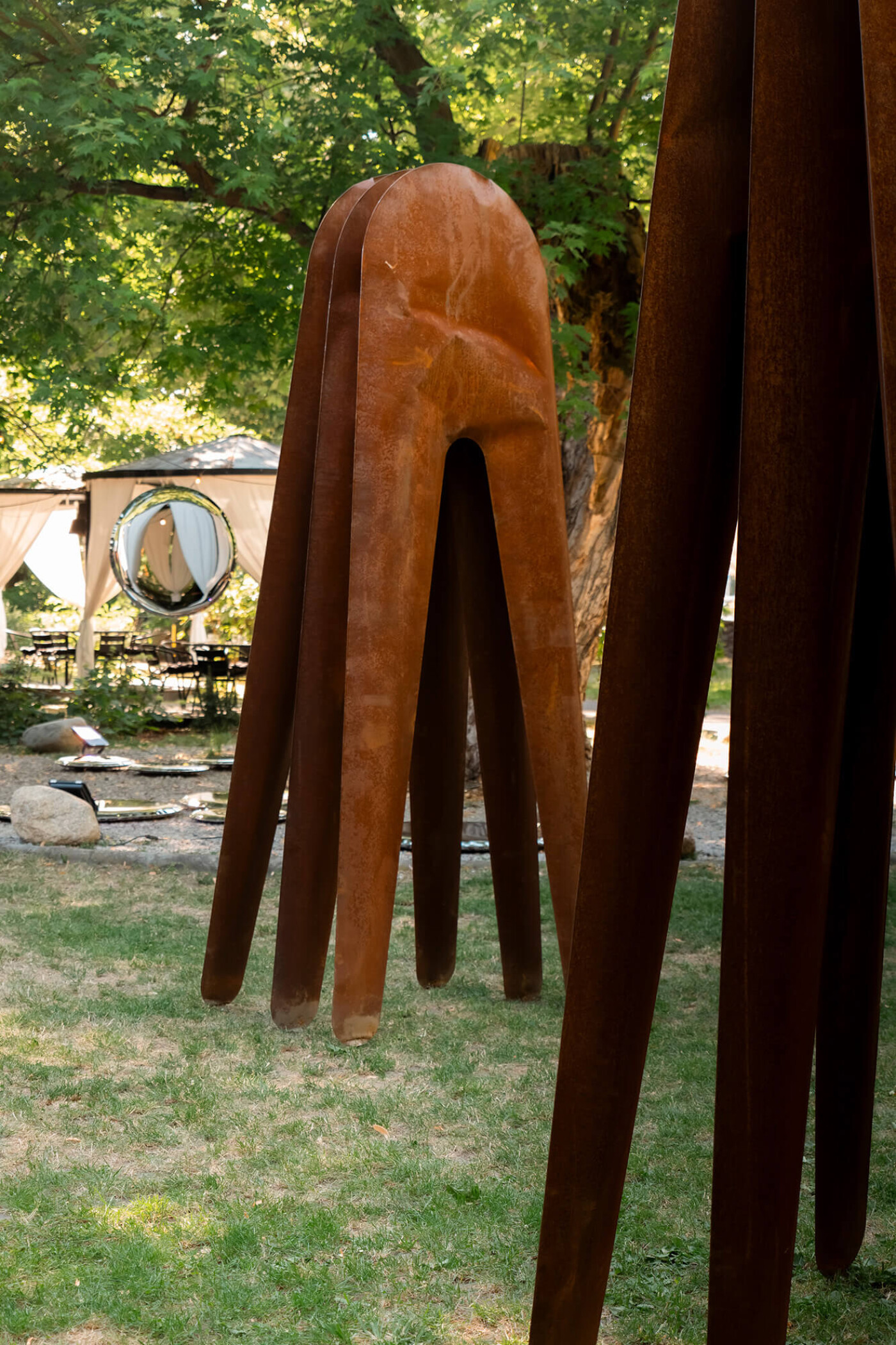 zieta_cyclops_Klonn_2025_fot_Jakub_Musialski_01