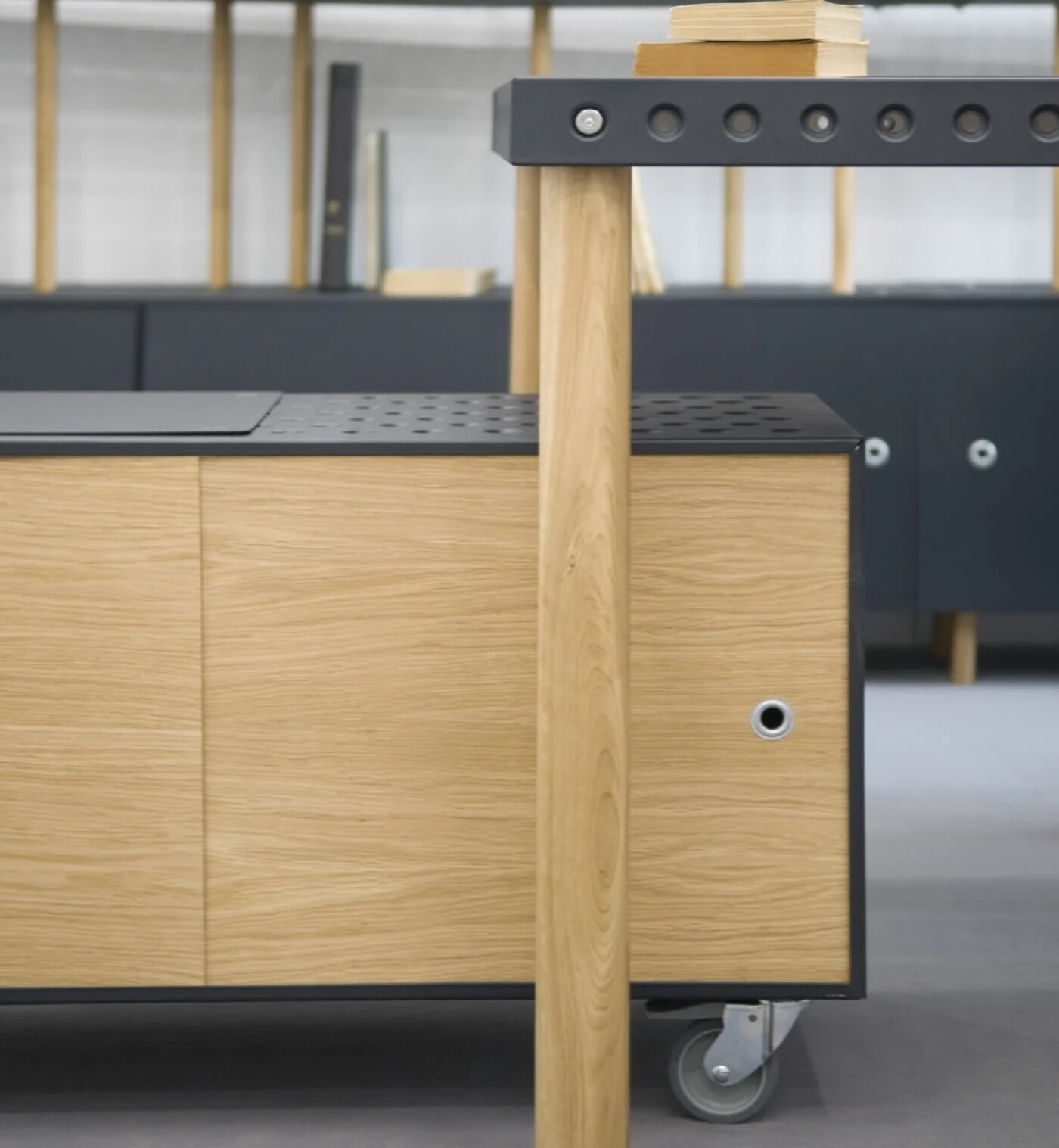 zieta_barbara_esk2016-22.jpg-kopia