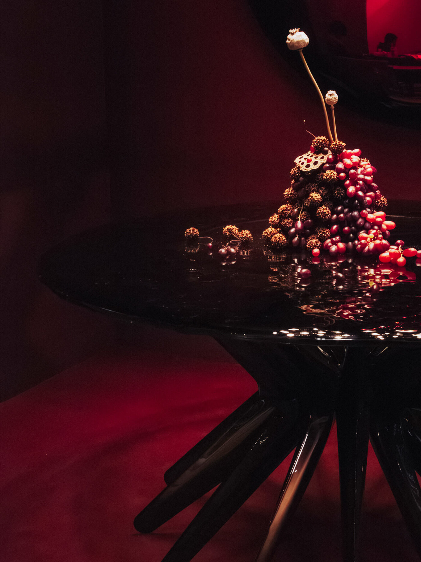 zieta_SIR_table_zieta_collection_fot_Julia_Leus_32