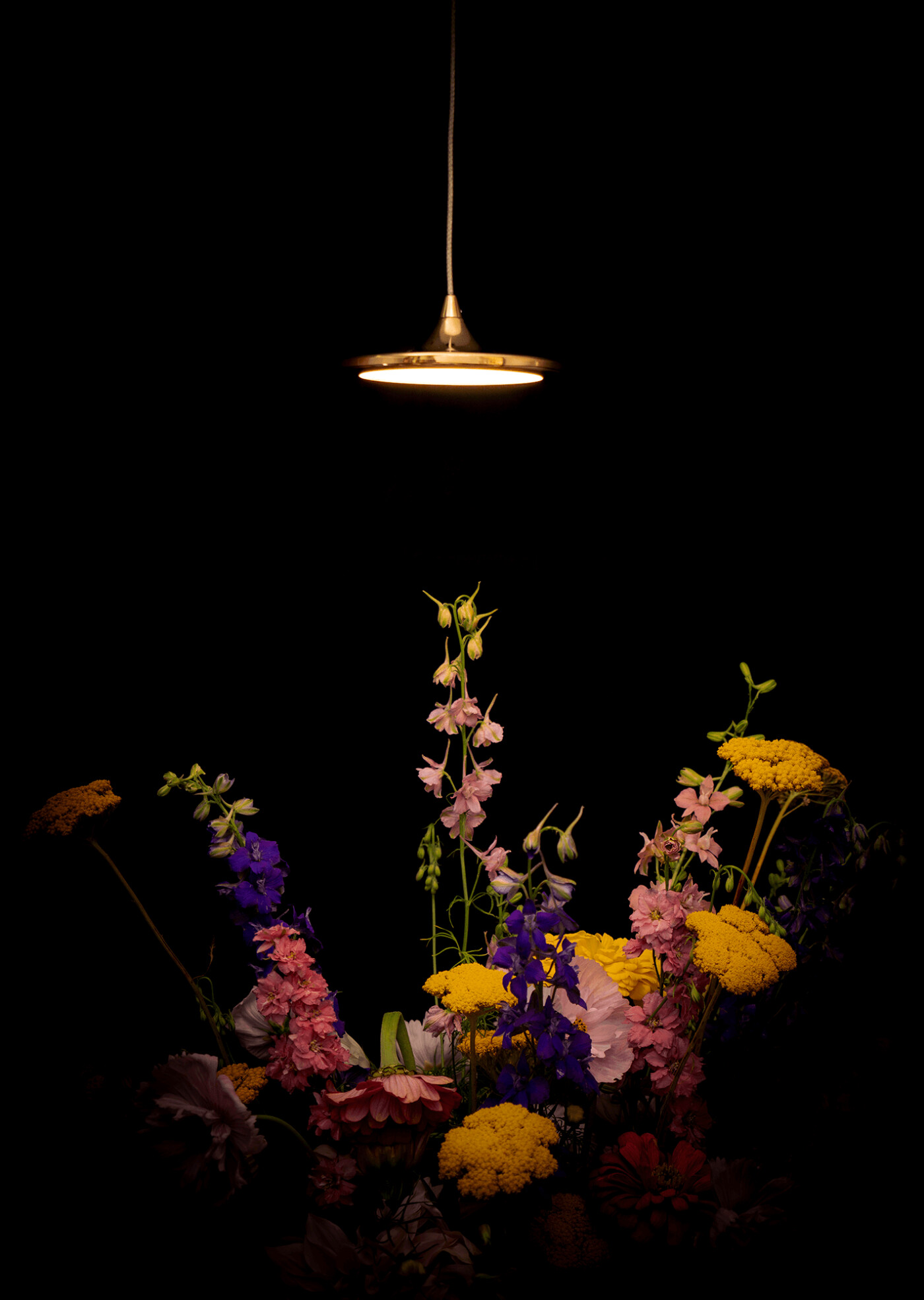 -FILELD_Kościerzyńska_fot_Jakub_Musialski_25