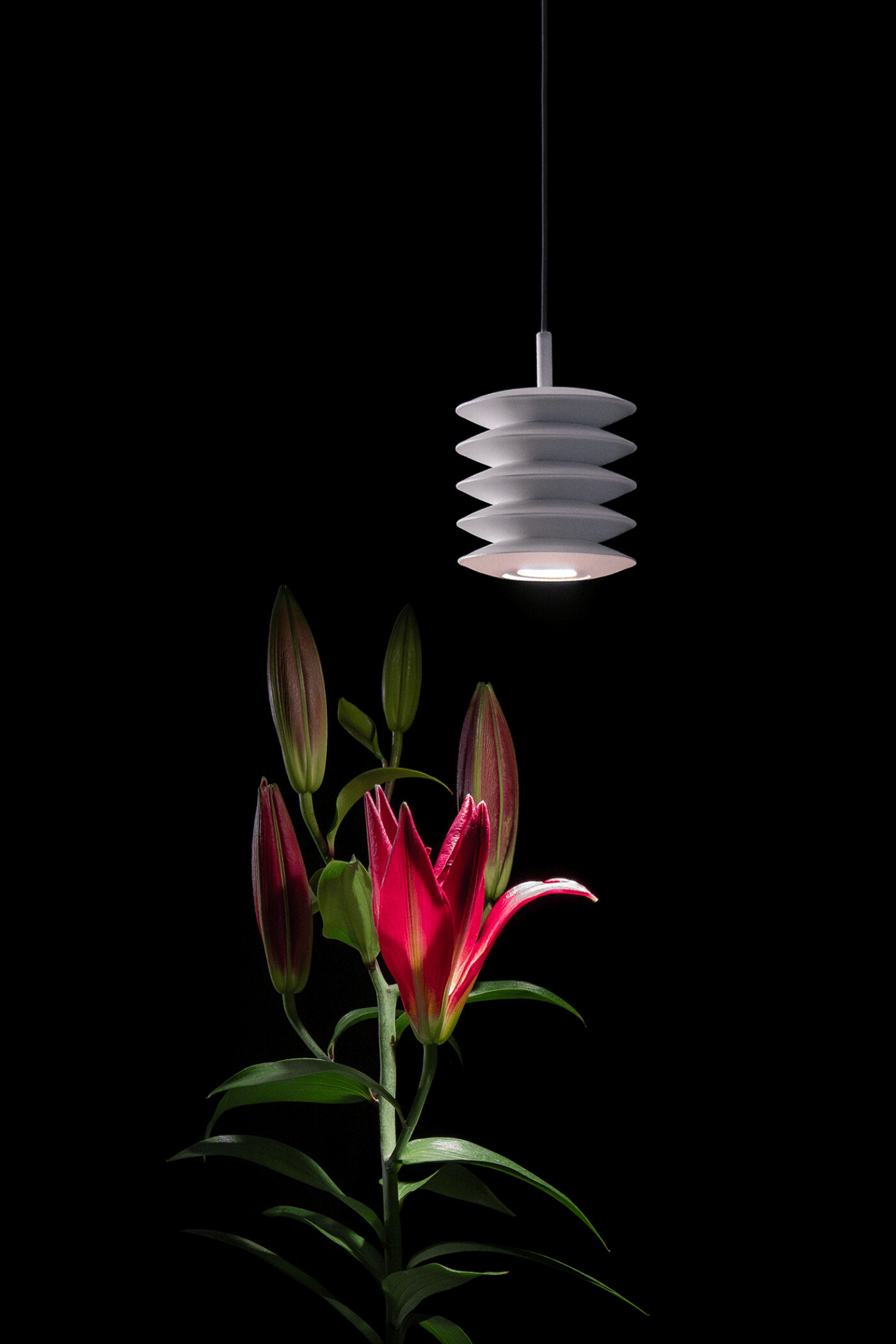 zieta_Harmonica_White_Matt_9010_Collection_Zieta_Lighting_fot_Jakub_Musialski_52