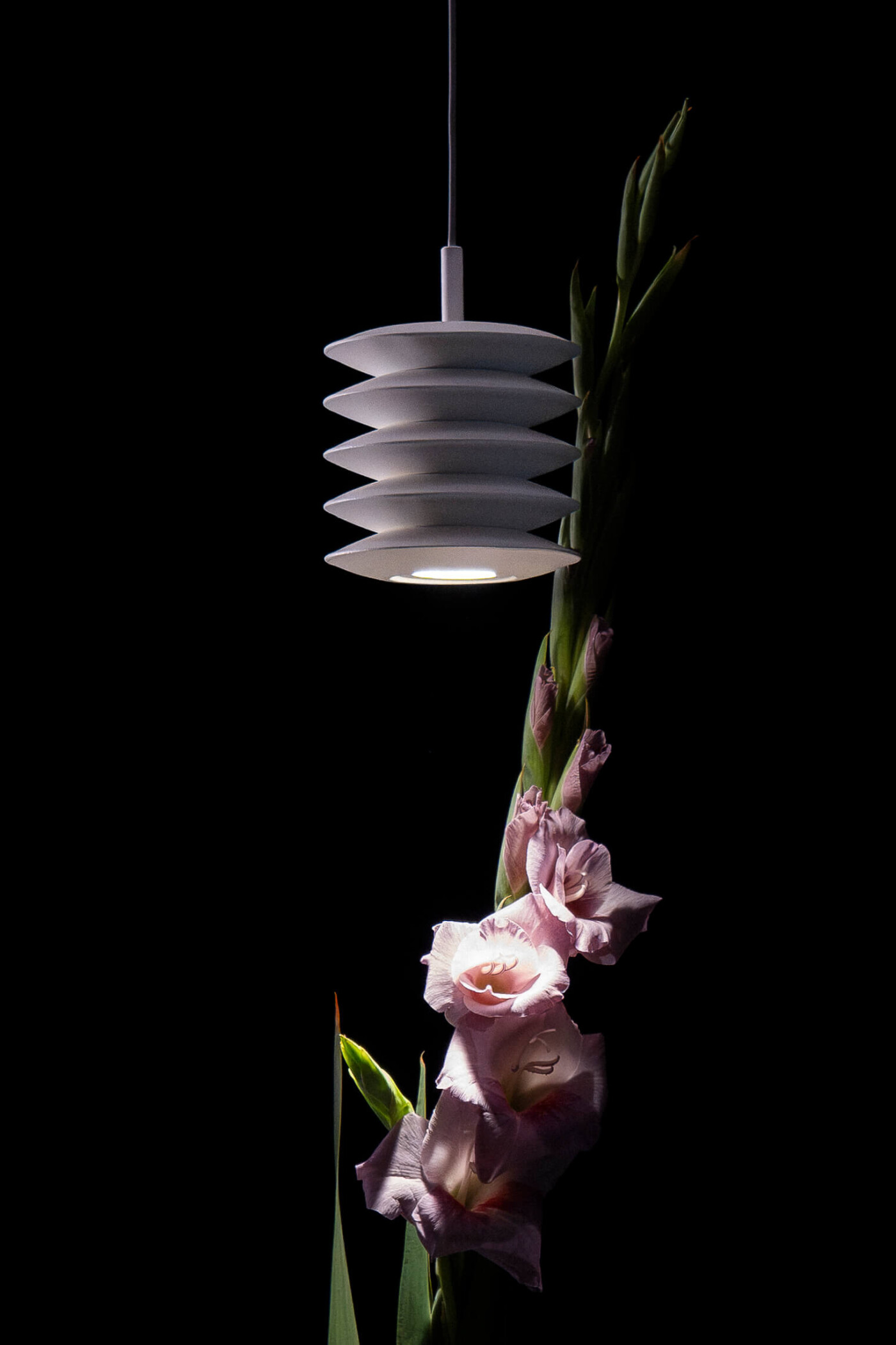 zieta_Harmonica_White_Matt_9010_Collection_Zieta_Lighting_fot_Jakub_Musialski_54