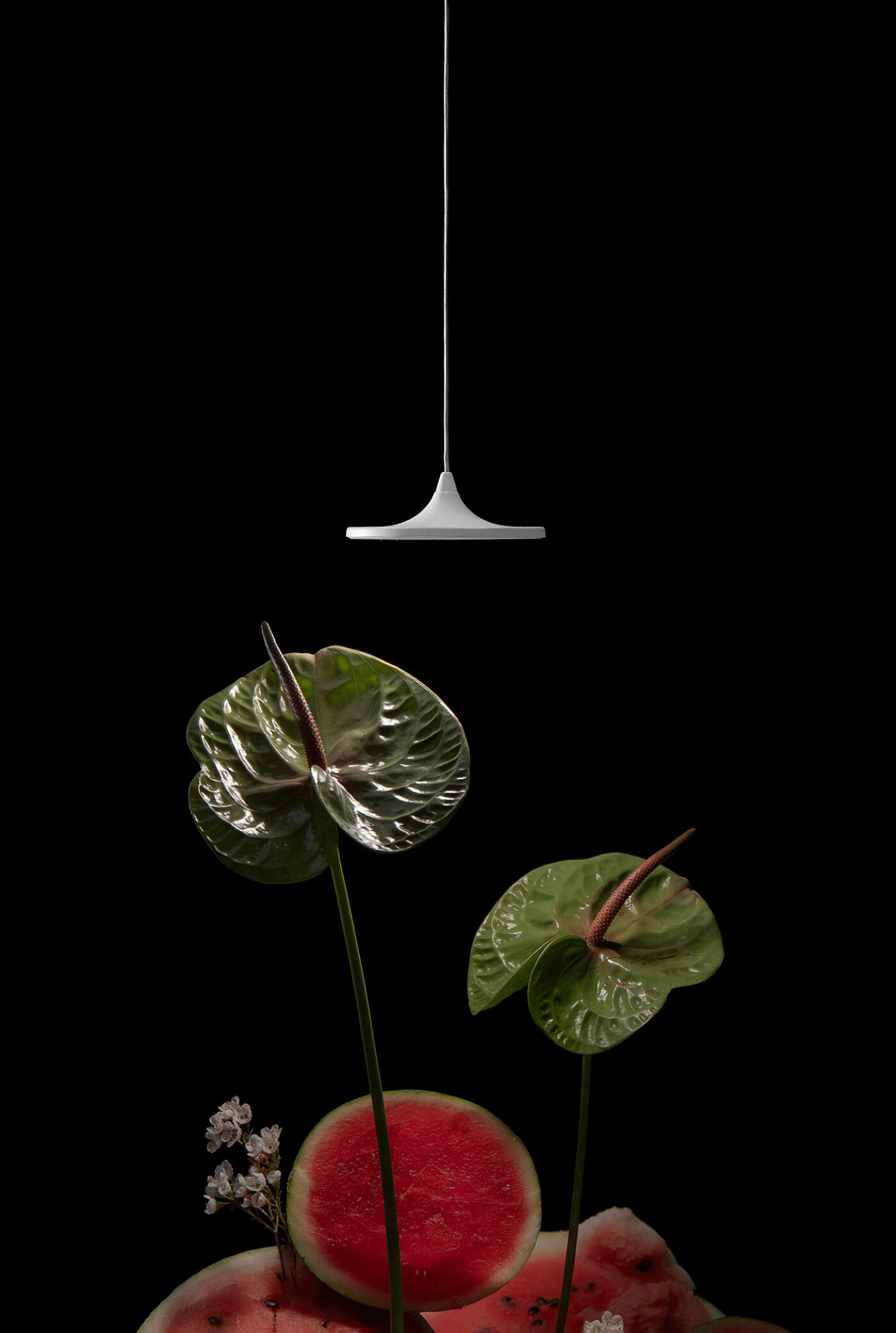 zieta_Luna_White_Matt_9010_Collection_Zieta_Lighting_fot_Jakub_Musialski_79