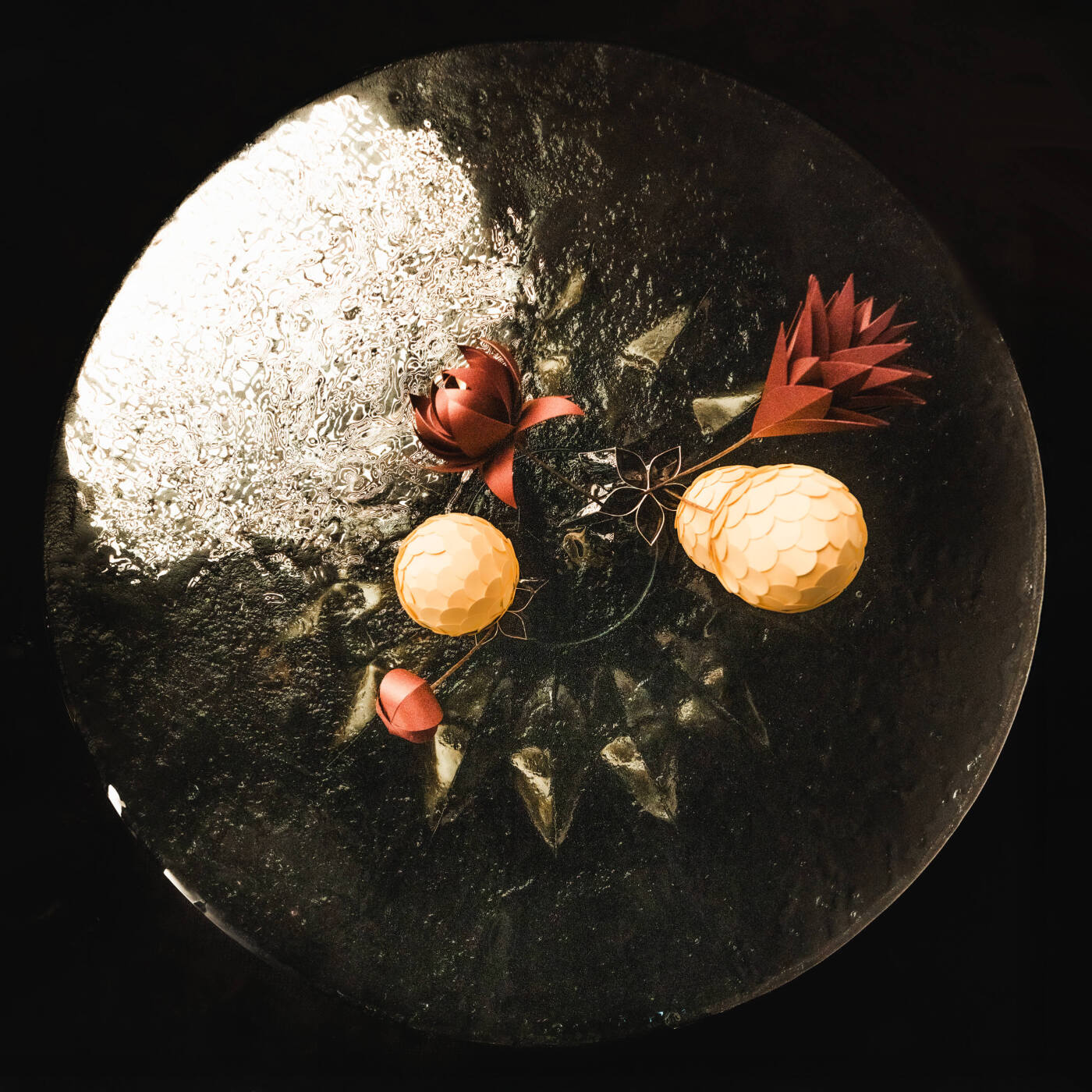 zieta echo table view from above