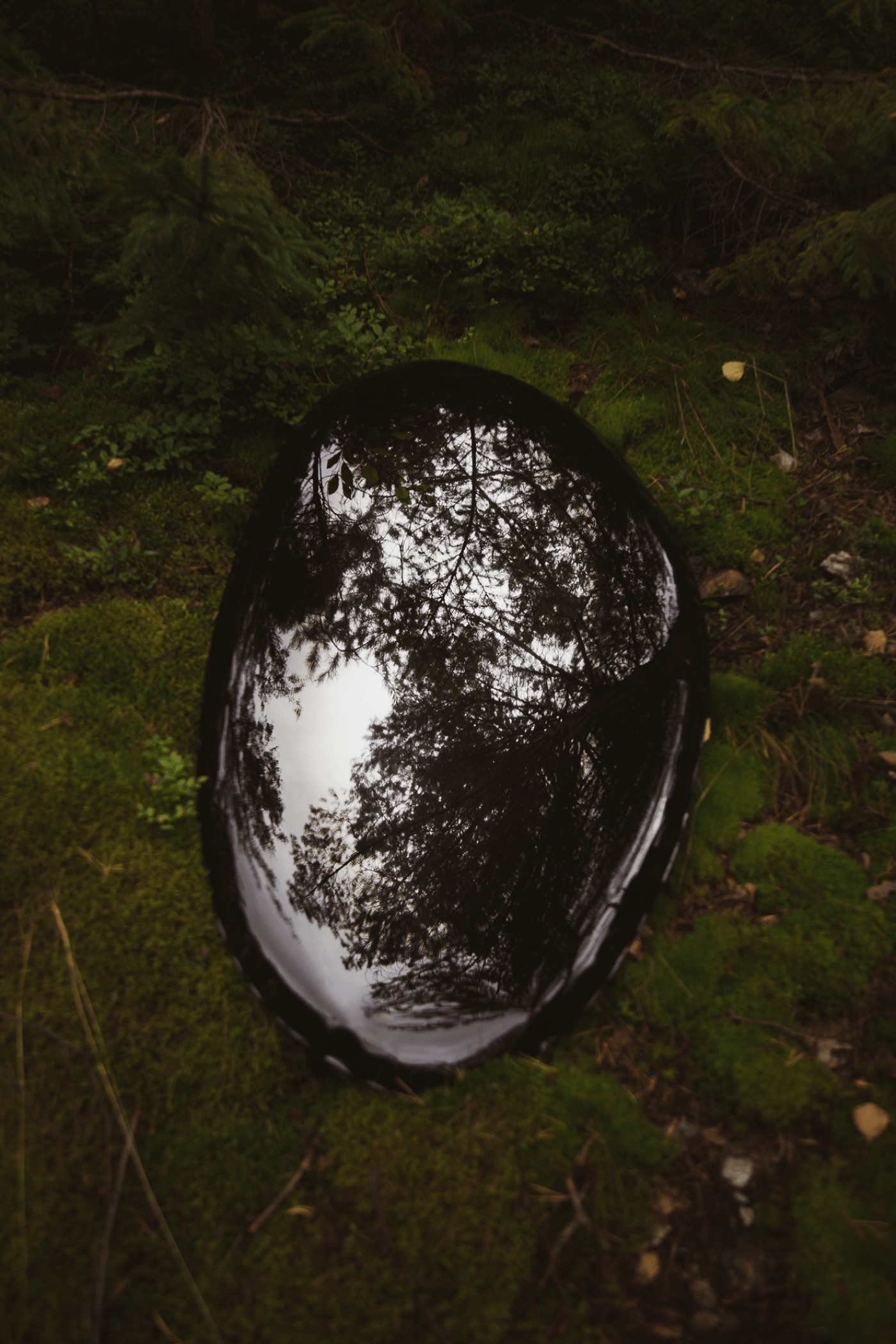 zieta tafla o mirror laying in forest