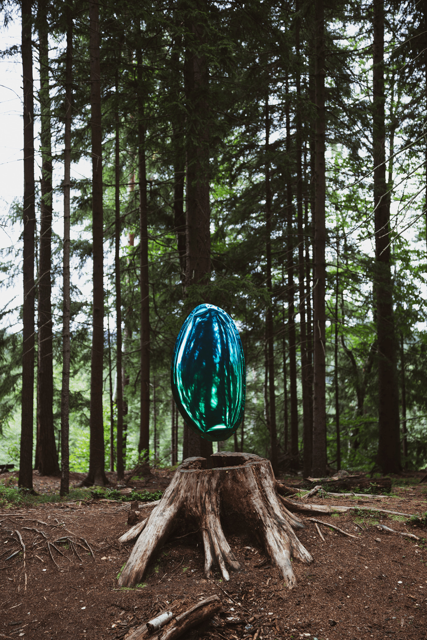 zieta tafla o gradient mirror hanging inside a forest