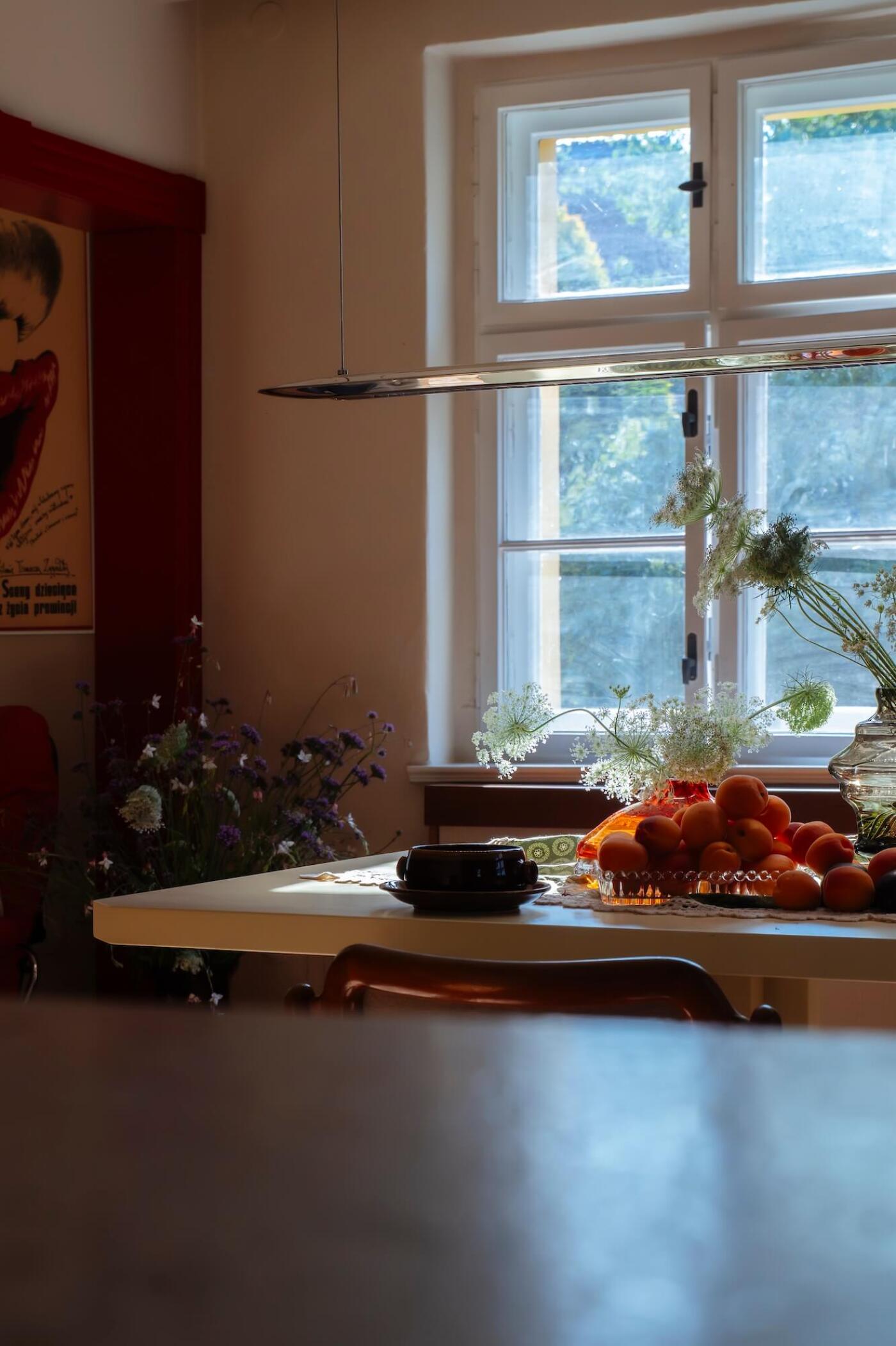 zieta fin lamp above a dining table