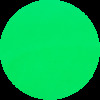 NEON Green 6038