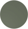 Olive Green Matt 6003