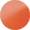 NEON Orange 2005