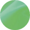 NEON Green 6038