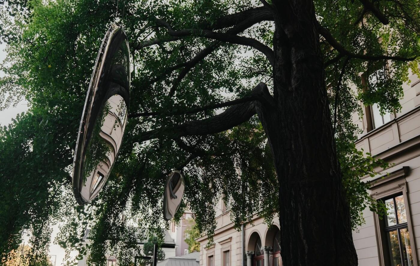 zieta studio mirrors hanging from the trees
