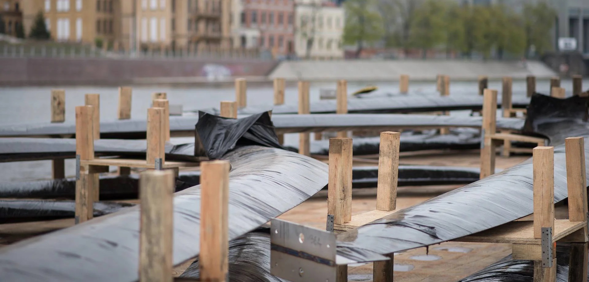 18056217_10155226233312020_3856233844838758015_o