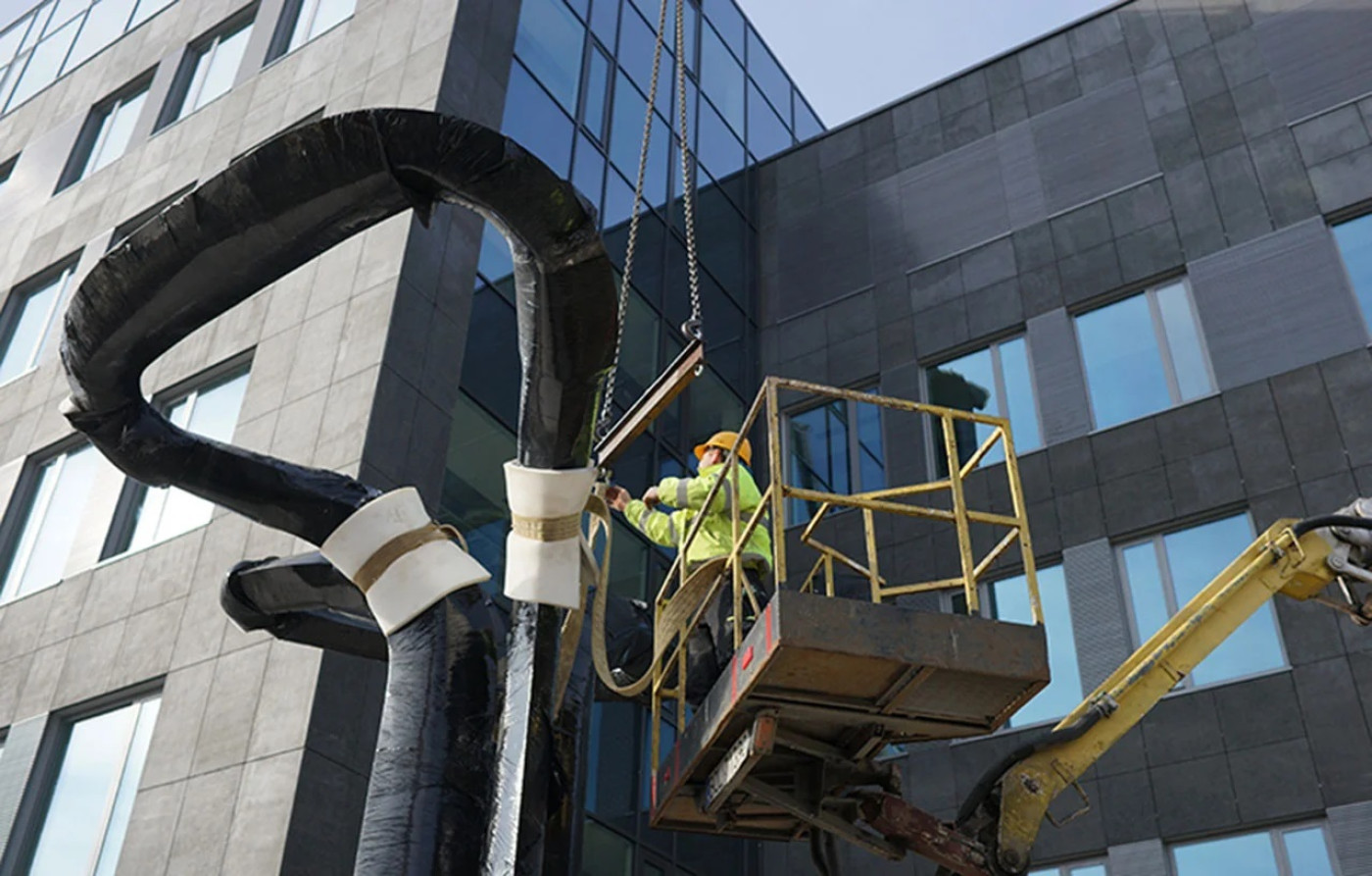 zieta_koniczyna_montaż2