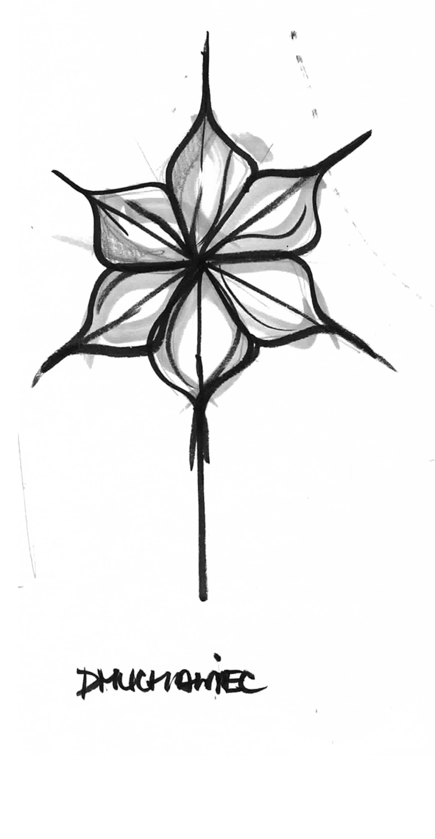 ZIETA-KONICZYNA-SZKIC1