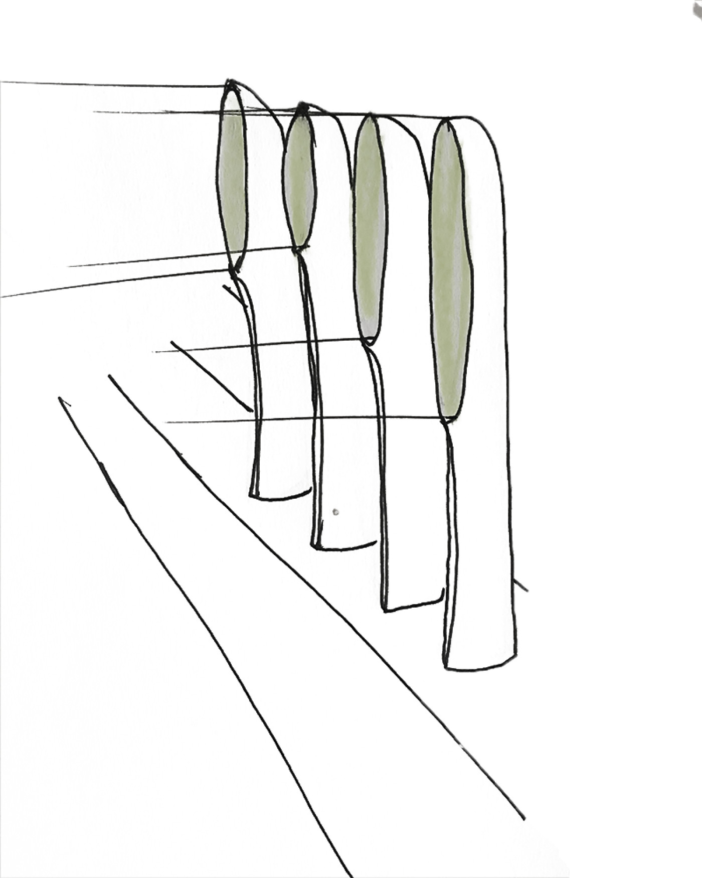 ZIETA-FIREFLY-SZKIC3