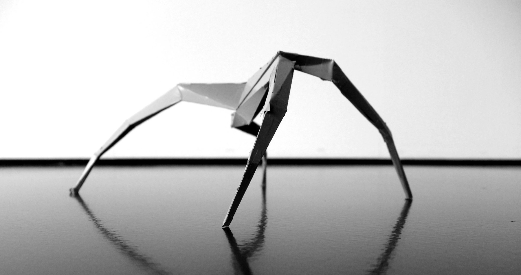 Gliederfüßer Oskar Zięta spider sculpture