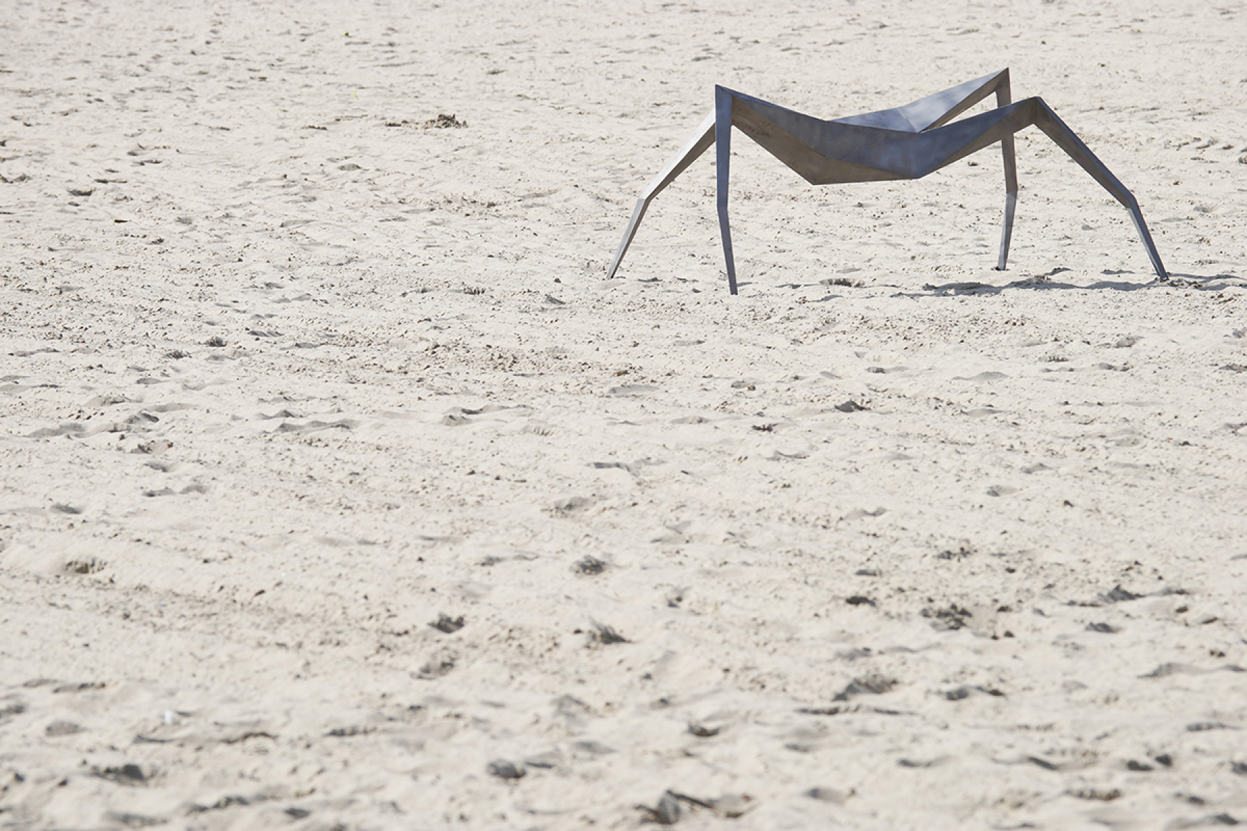 Gliederfüßer Oskar Zięta spider sculpture