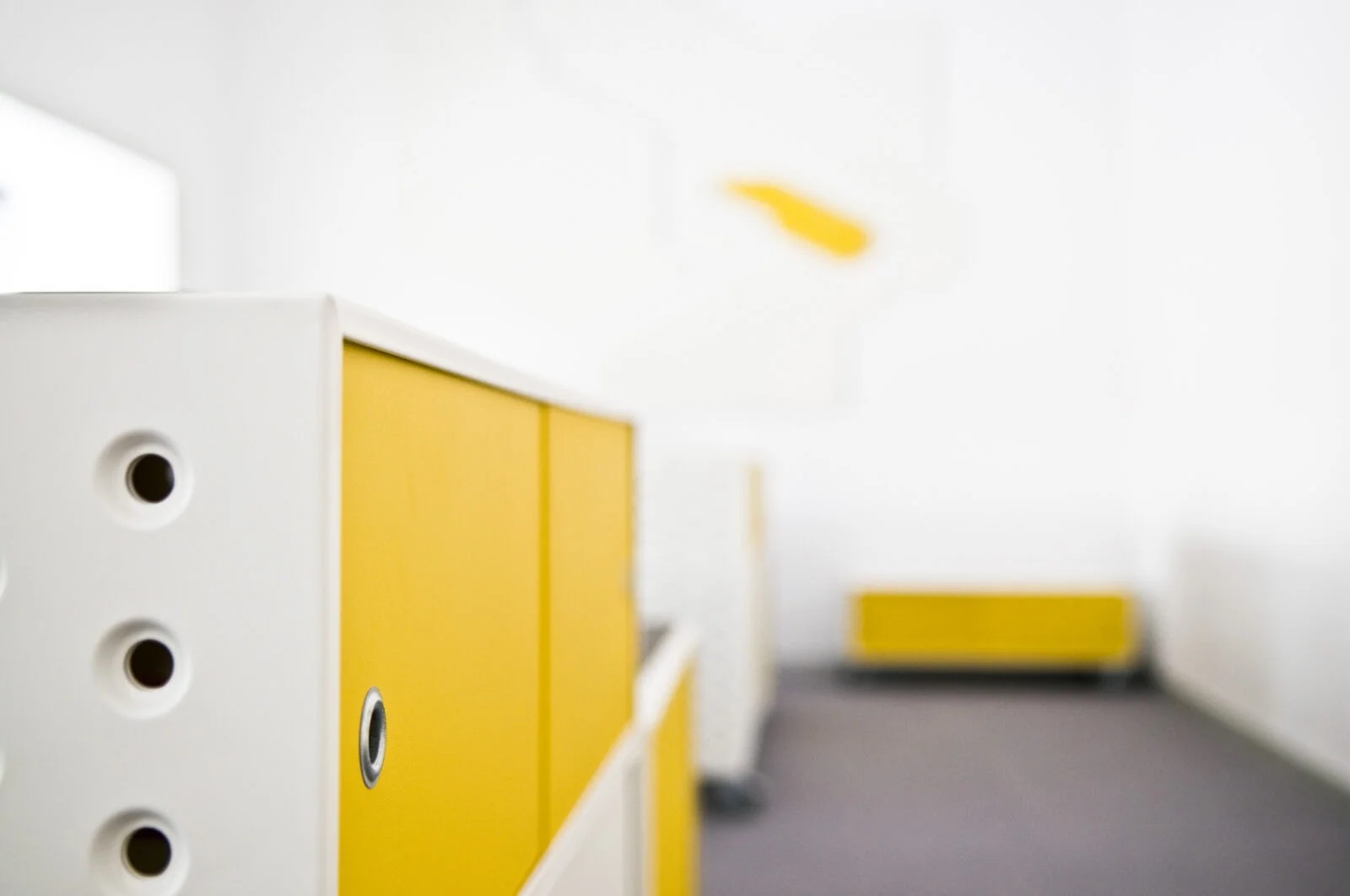 zieta_barbara_esk2016-6