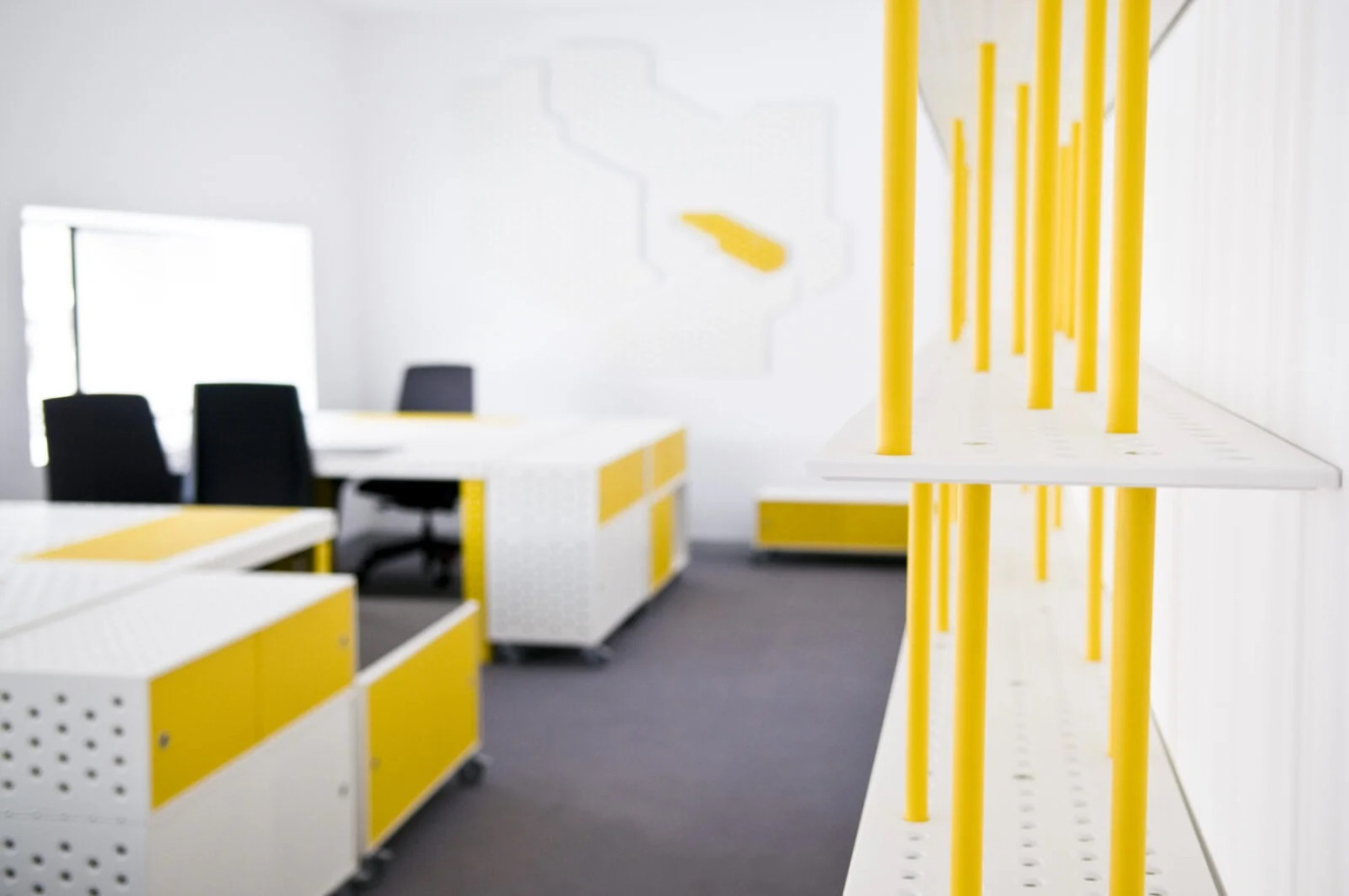 zieta_barbara_esk2016-1