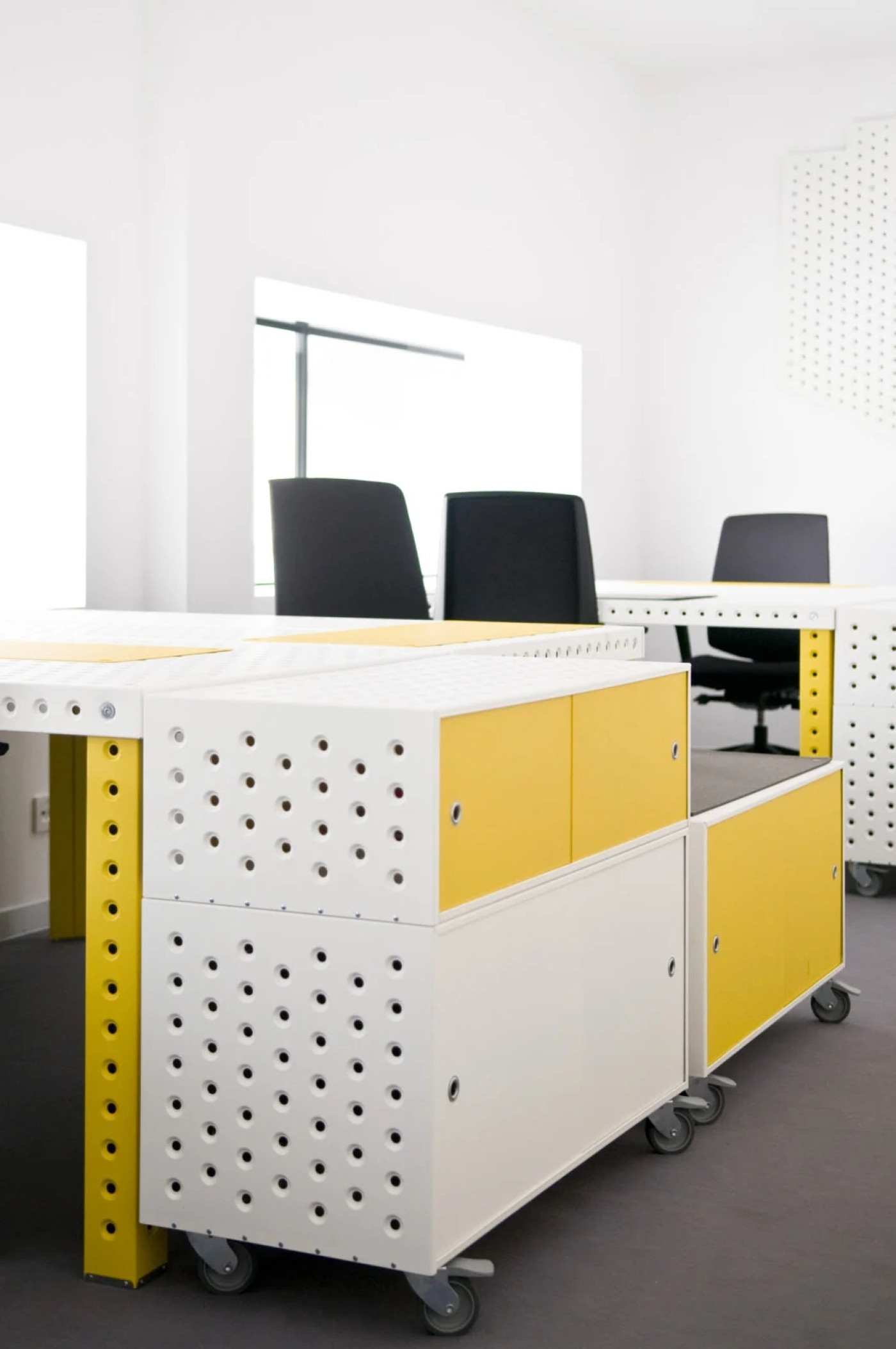 zieta_barbara_esk2016-7