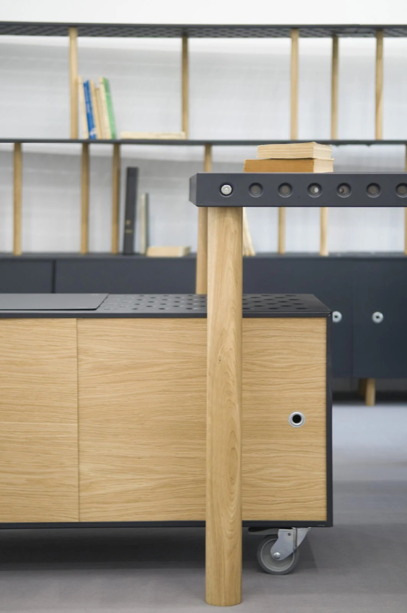 zieta_barbara_esk2016-22