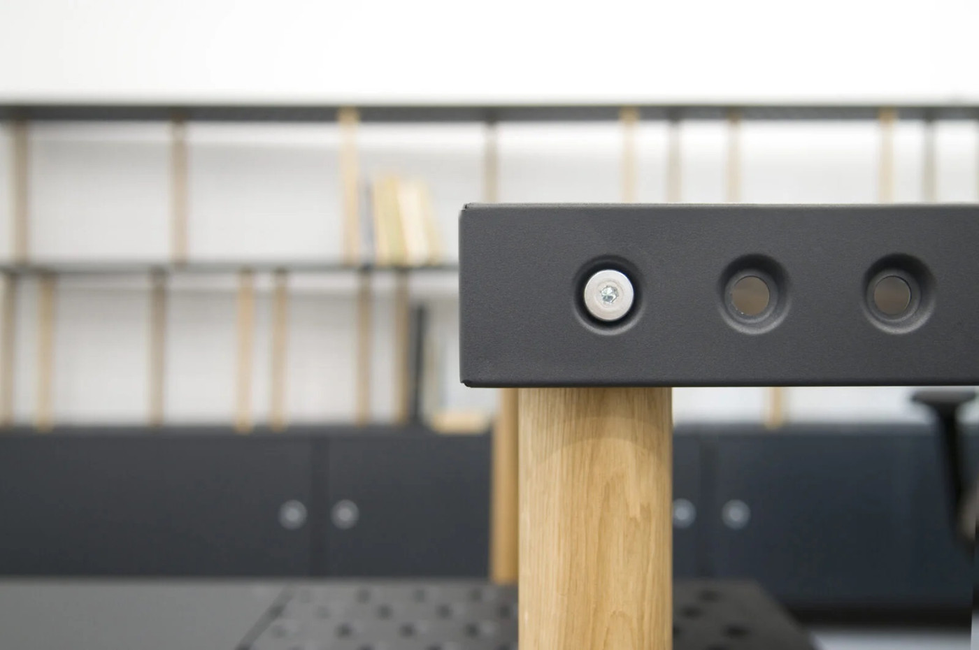 zieta_barbara_esk2016-23